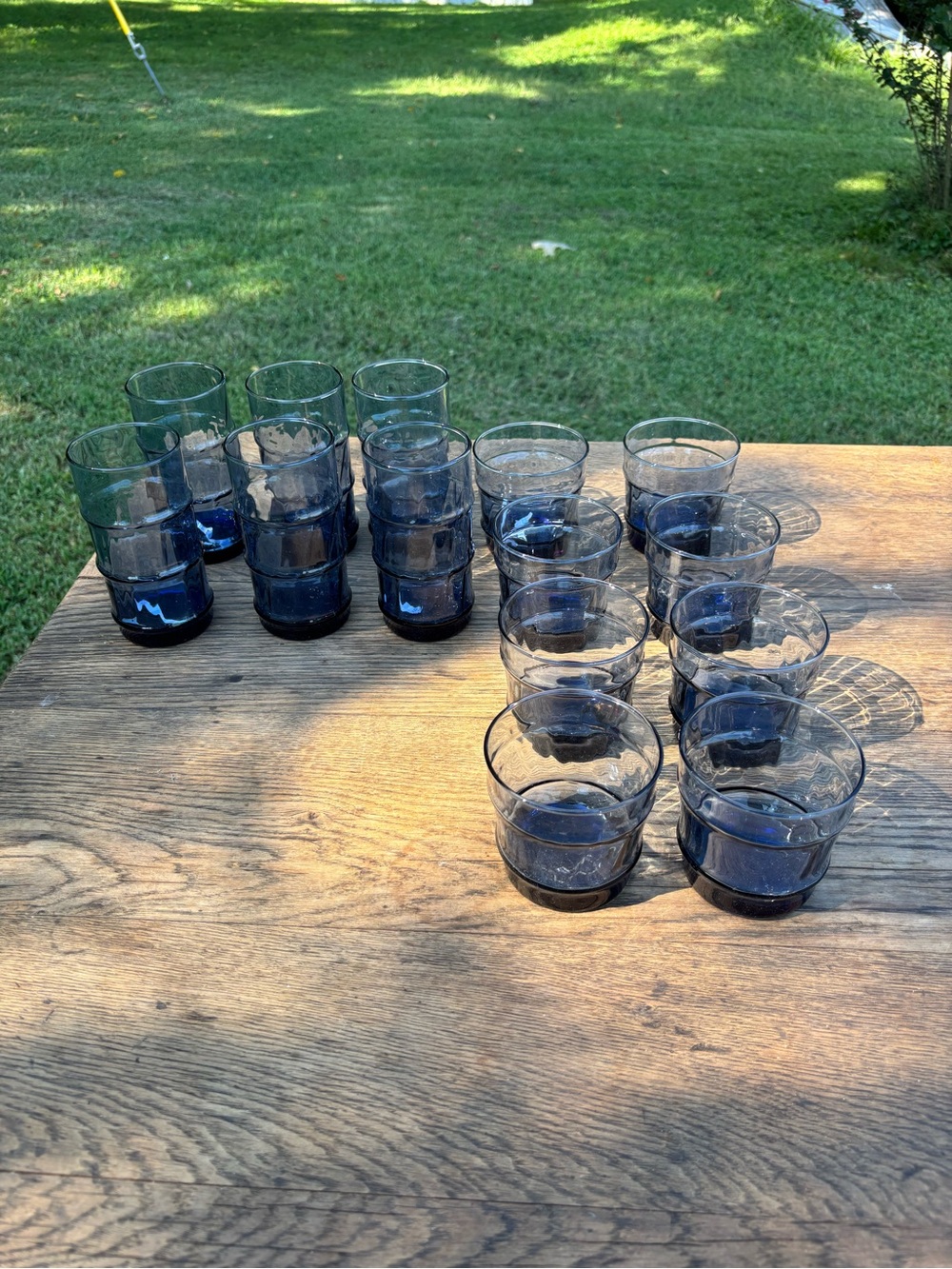 Bamboo Bash glasses